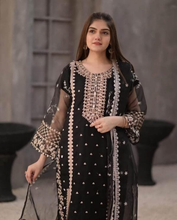 Elegant Women's 3-Piece Embroidered Suit – Organza & Katan Silk | Multiple Colors