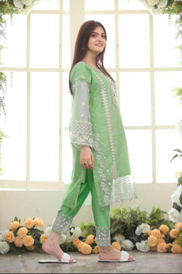 Elegant Women's 3-Piece Embroidered Suit – Organza & Katan Silk | Multiple Colors - Image 10