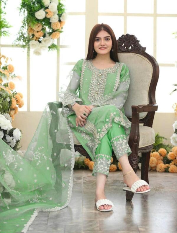 Elegant Women's 3-Piece Embroidered Suit – Organza & Katan Silk | Multiple Colors - Image 9